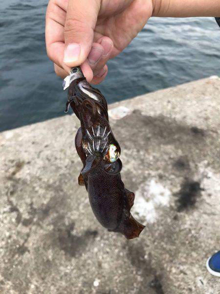 四杯やっつけましたぁ